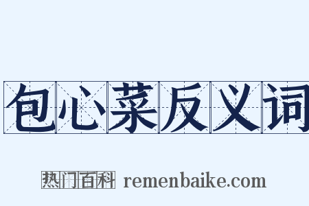 包心菜反义词是什么意思的图片